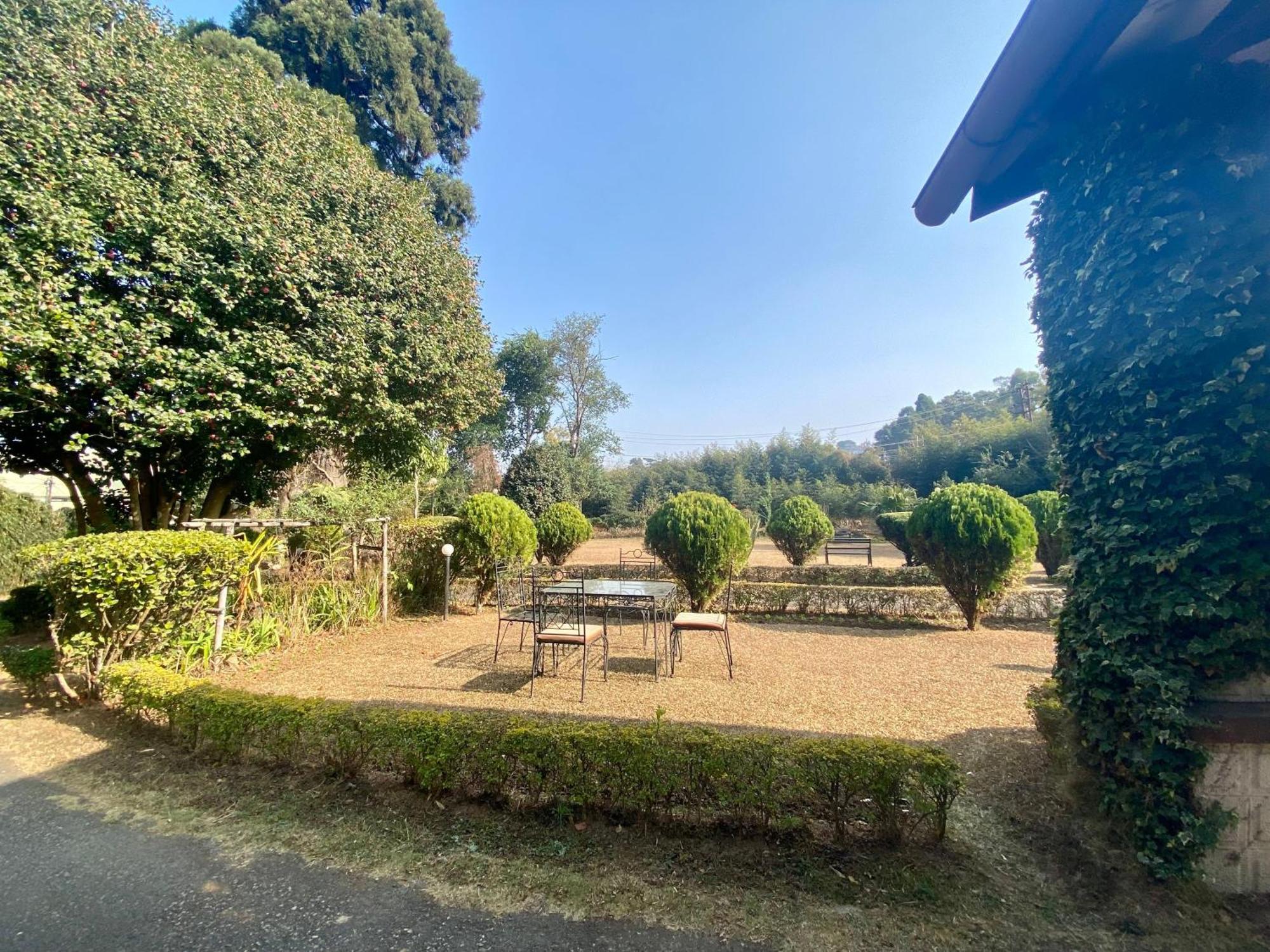 Oasis Guesthouse 西隆 外观 照片